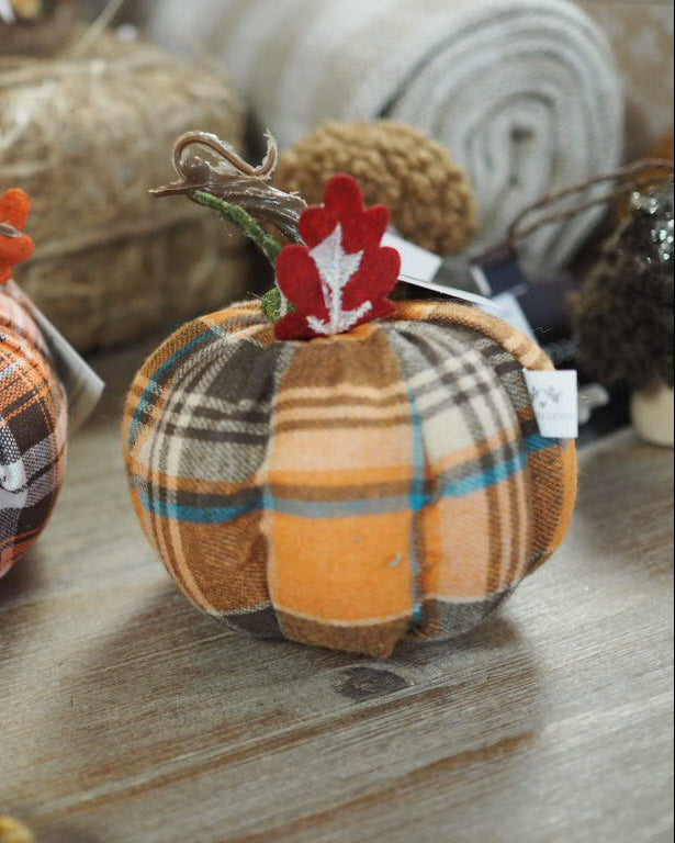 Orange tartan pumpkin mix