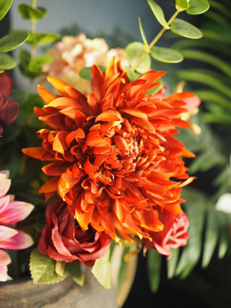 Dark orange chrysanthemum stem