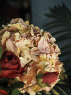 Antique pink hydrangea stem