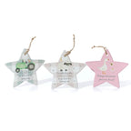 Mini farm ceramic star hanging decs
