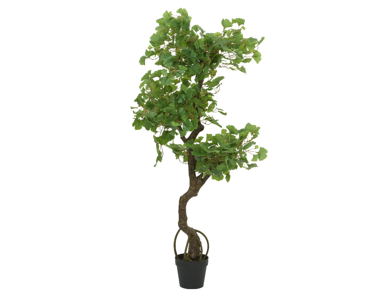 Faux gingko in pot