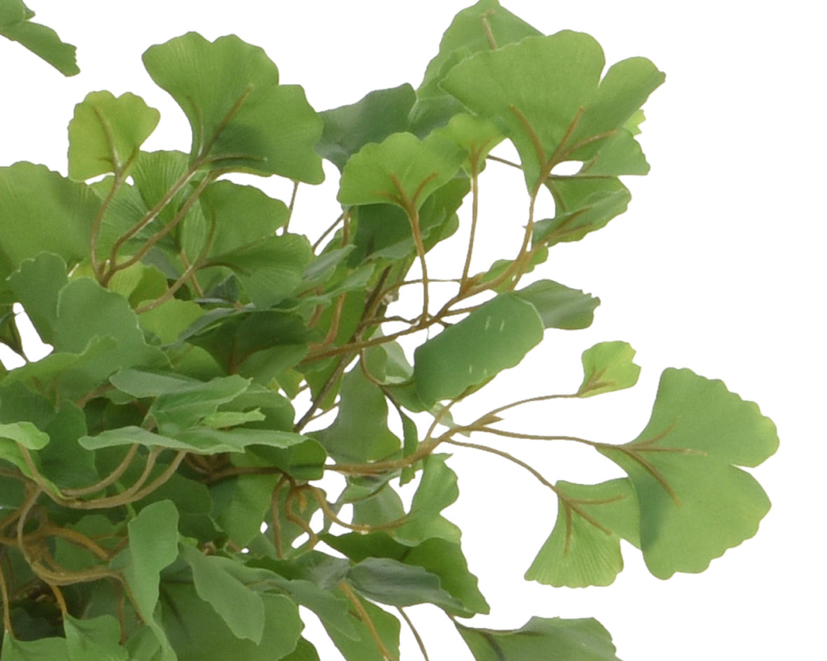 Faux gingko in pot