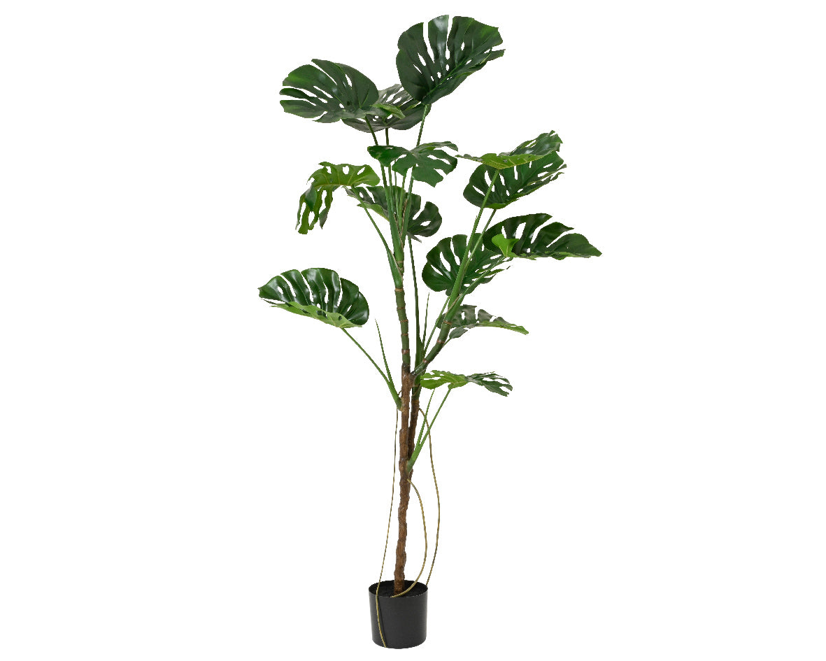 Potted faux monstera