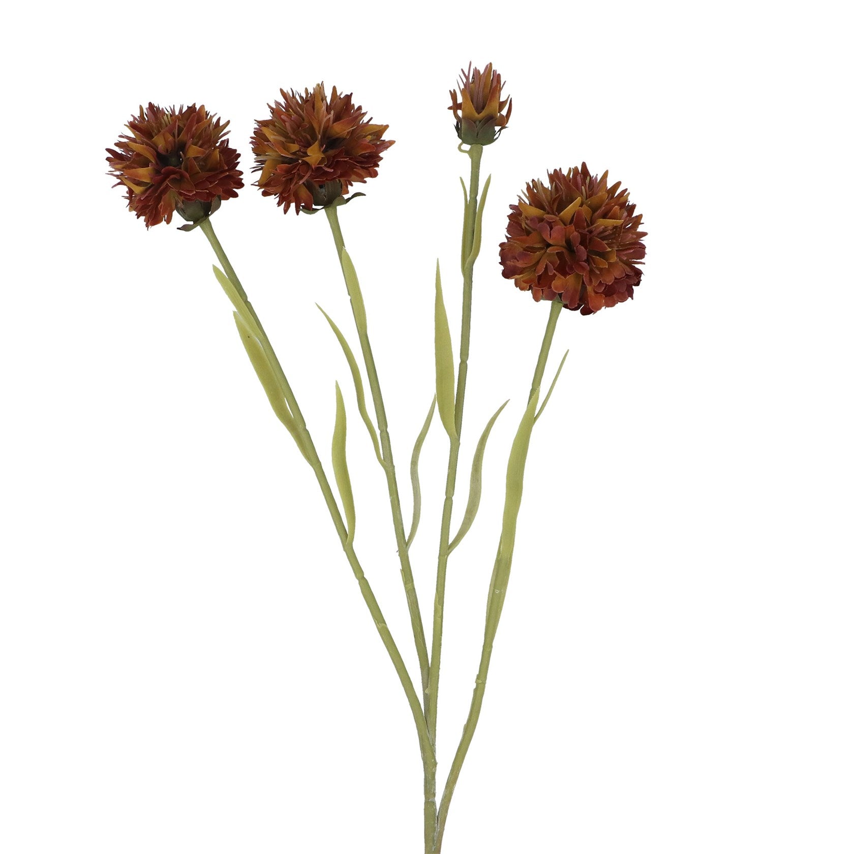 Dark tan echinops spray