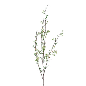 White wintersweet spray