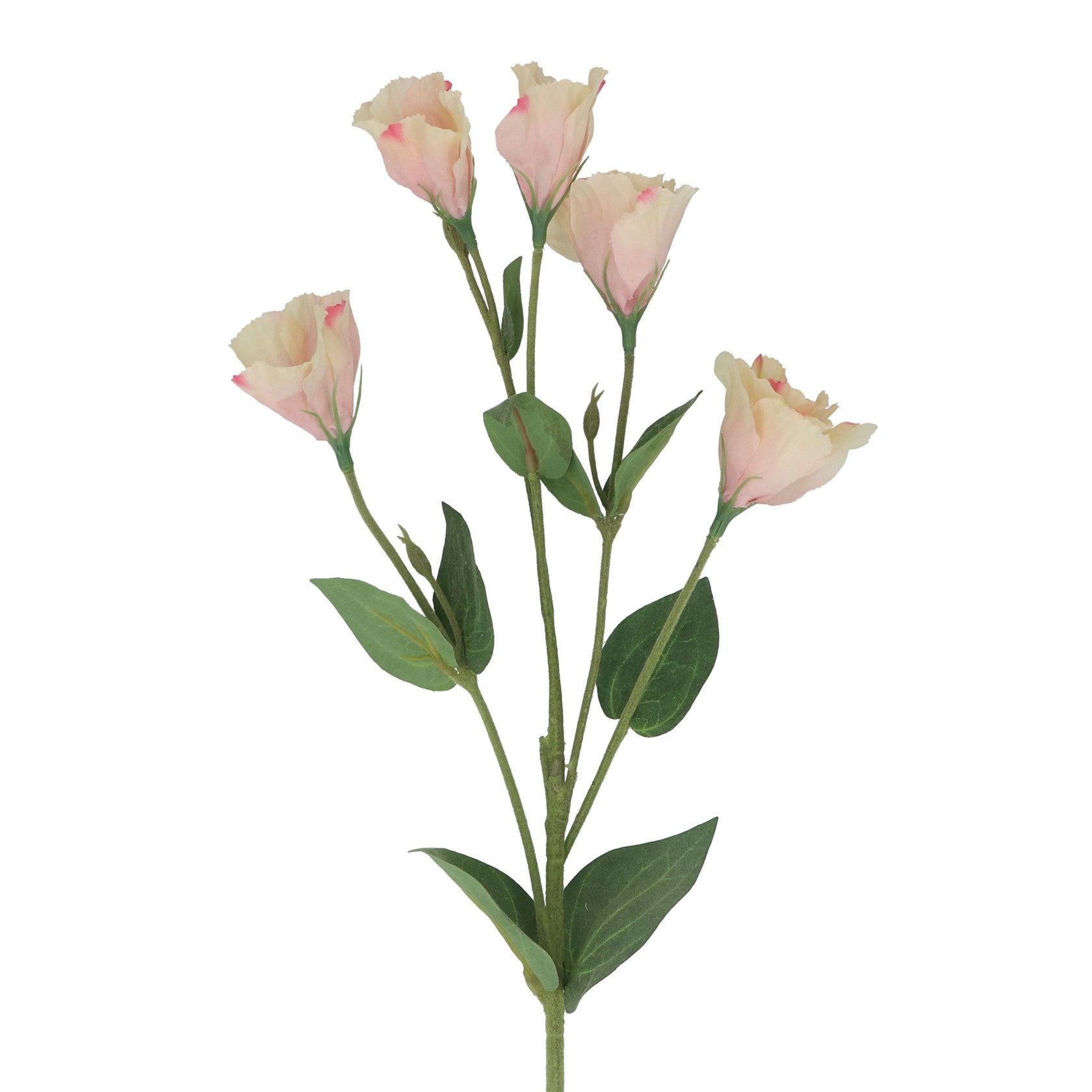 Blush pink lisianthus spray