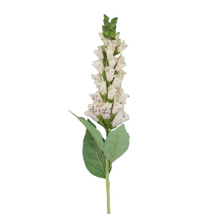 Cream foxglove stem