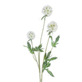 White starflower pincushion spray