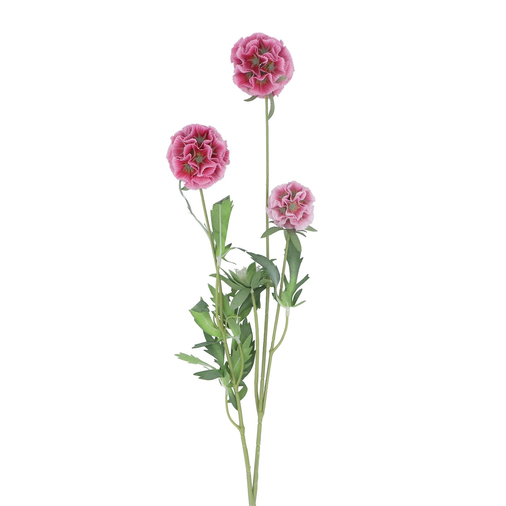 Pink starflower pincushion spray