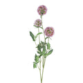 Mauve starflower pincushion spray