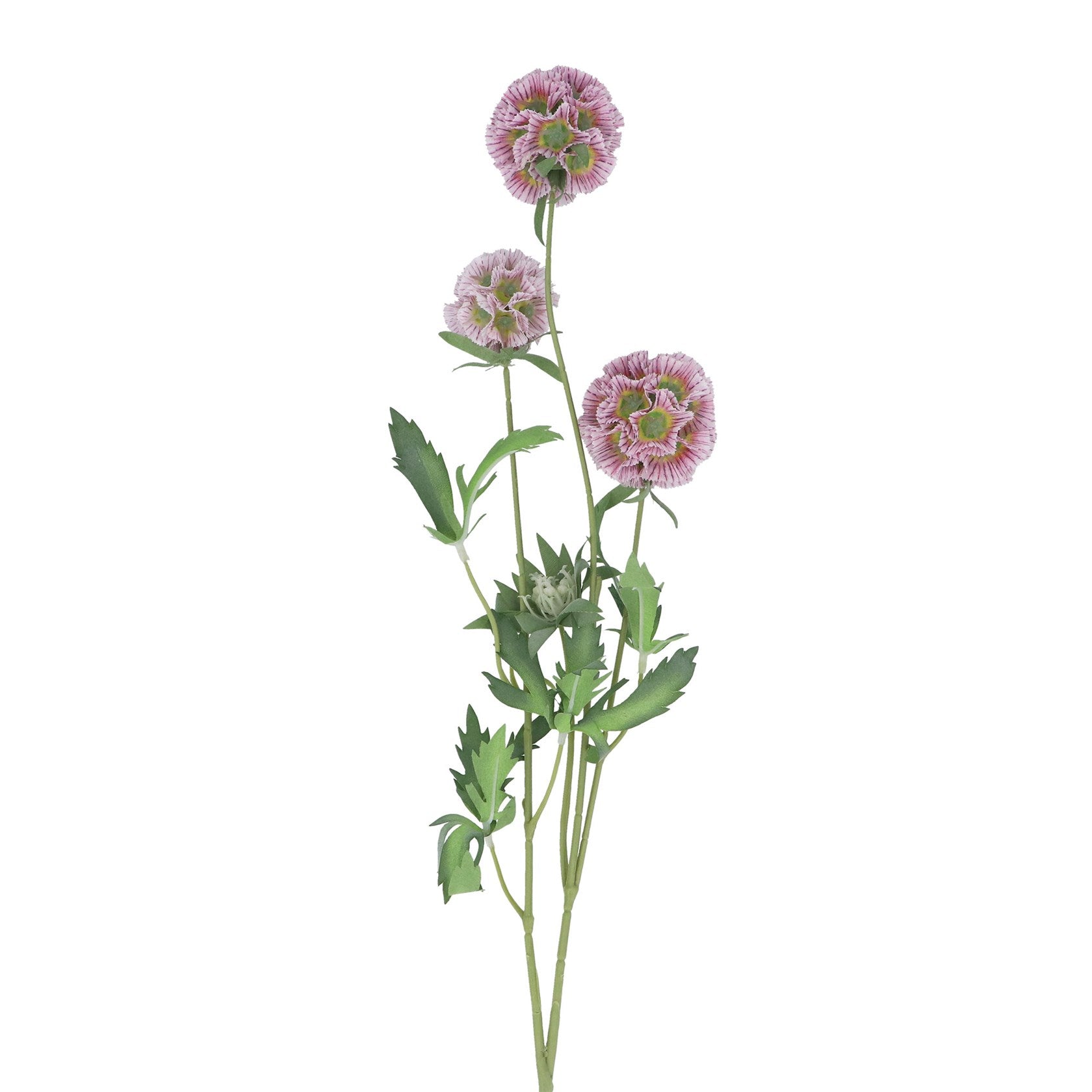 Mauve starflower pincushion spray