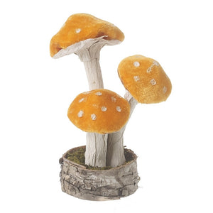 Small velvet orange standing toadstool
