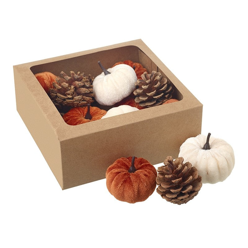 Pumpkins & pinecones in a box set