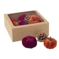 Pumpkins & pinecones mixed box set (burgundy)