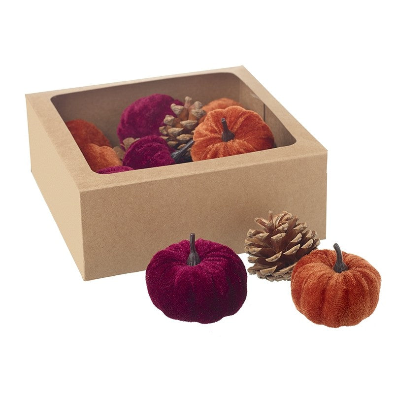 Pumpkins & pinecones mixed box set (burgundy)