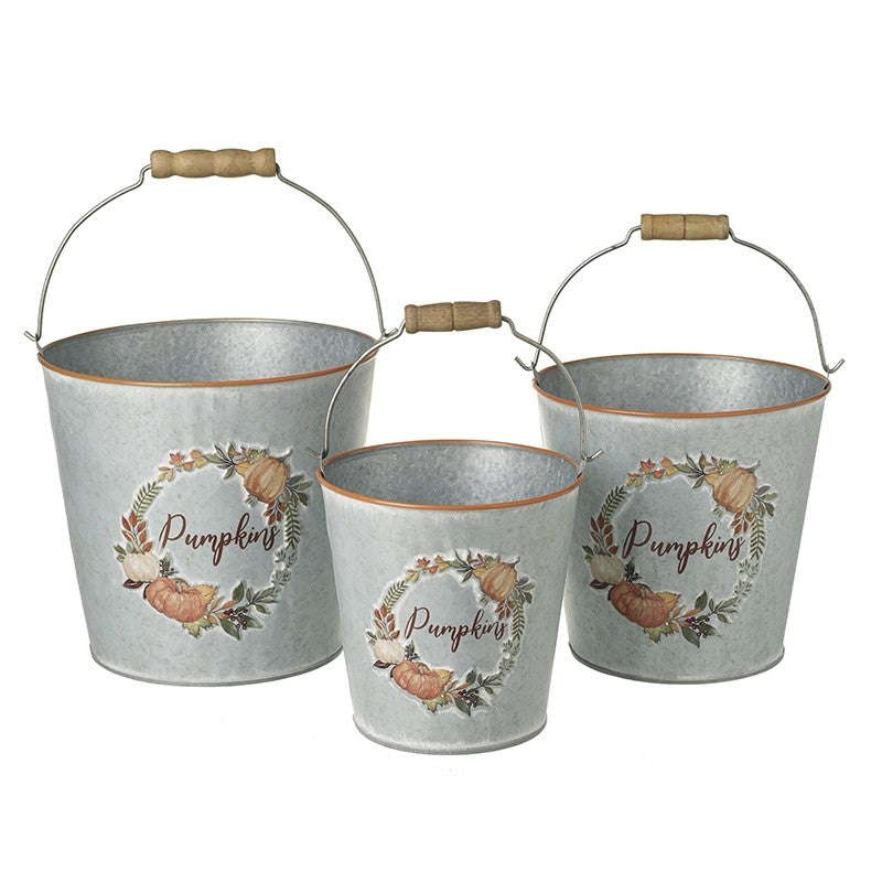 Pumpkins silver metal buckets