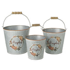 Pumpkins silver metal buckets