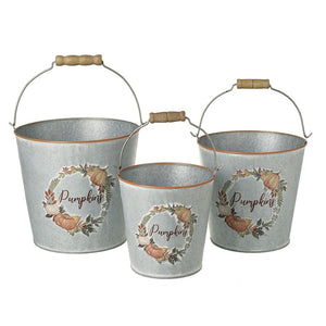 Pumpkins silver metal buckets