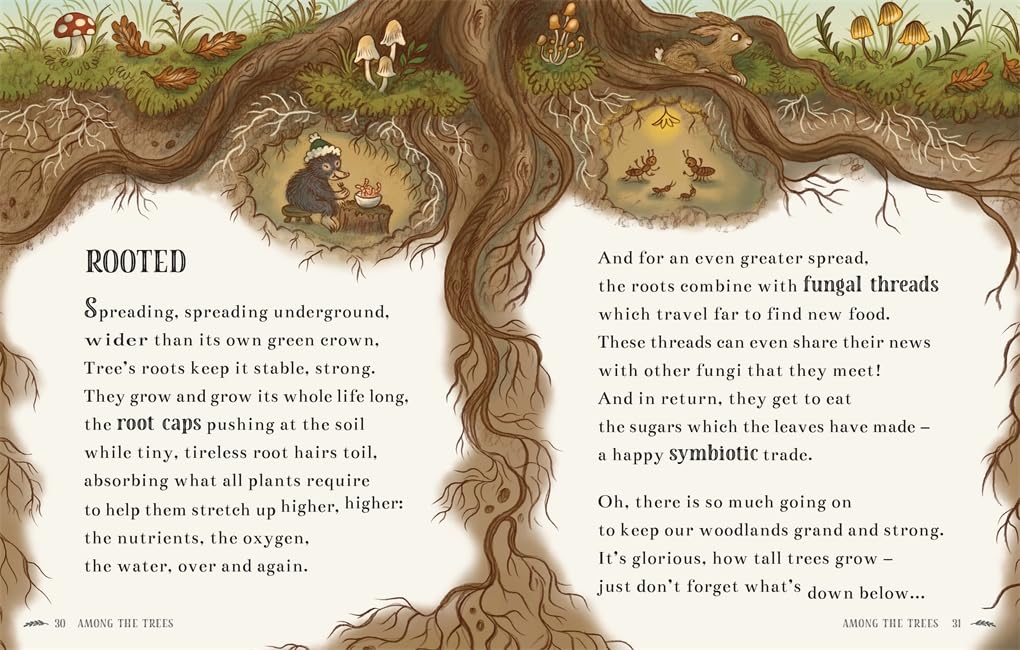 Wisdom of the Woods: 40 Poems (HB)