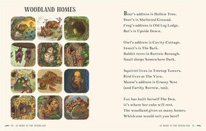 Wisdom of the Woods: 40 Poems (HB)