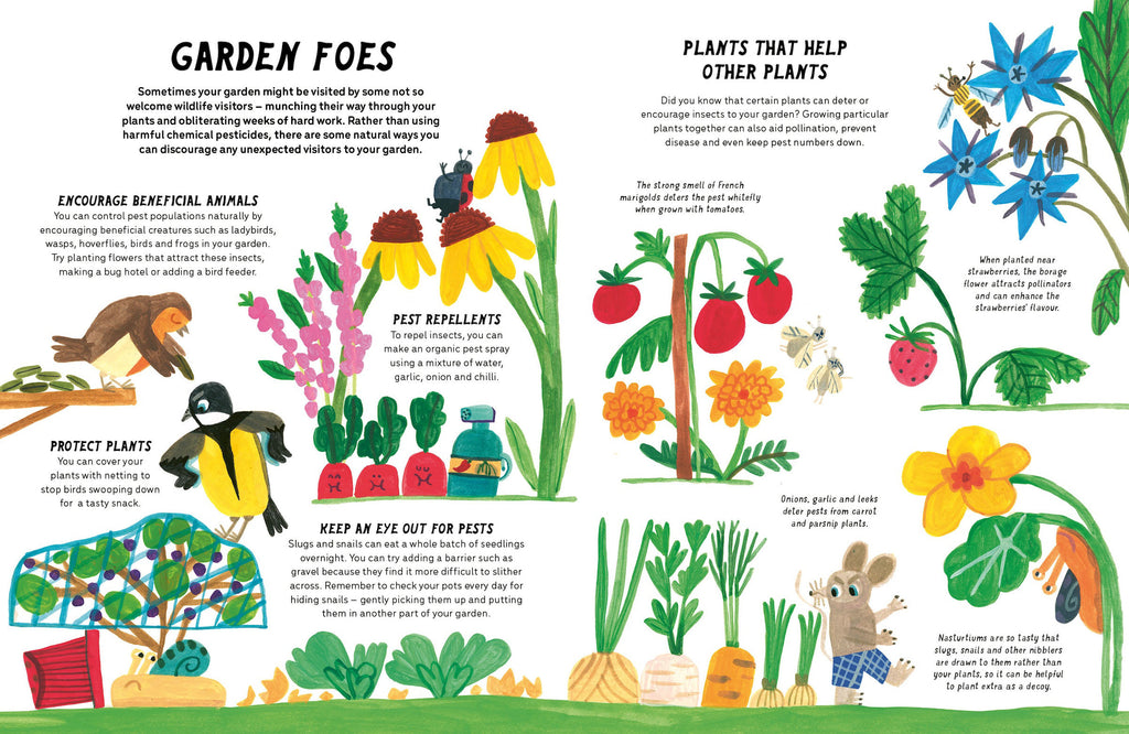 Little Gardeners Handbook (HB)