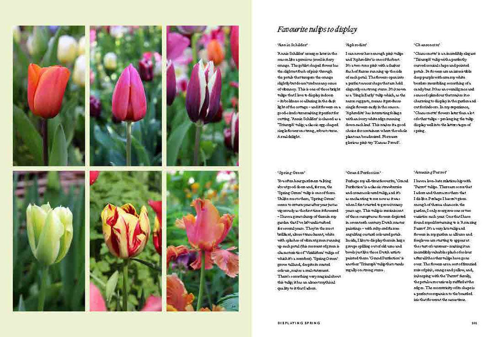 Outside In: A year of growing and Displaying (HB)