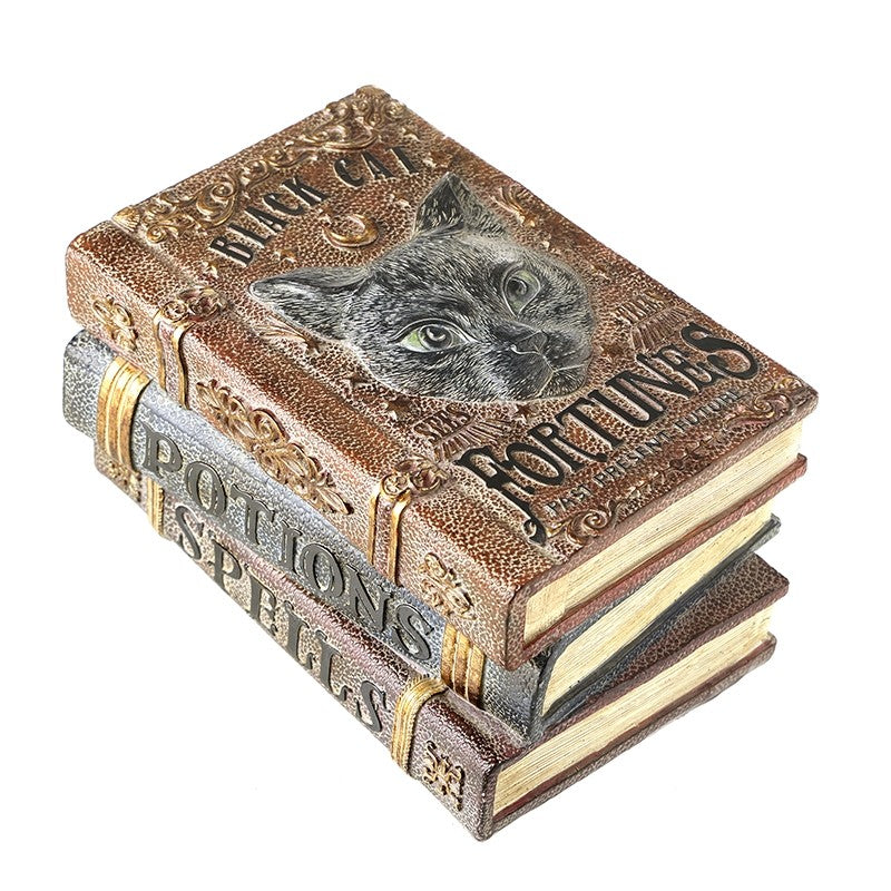 Black cat fortunes potions spells books