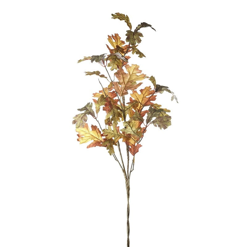 Dark green oak leaves spray