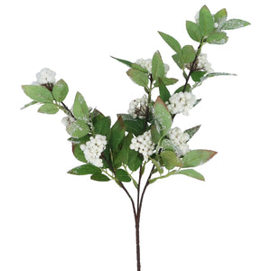 White berries with silver tipped foliage spray