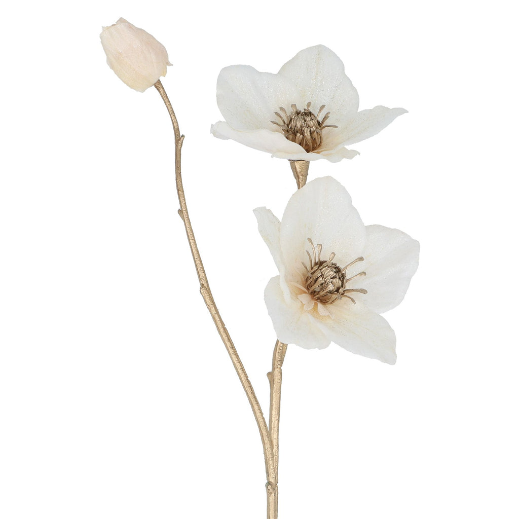 White Hellebore with gold stem spray