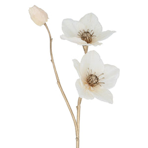 White Hellebore with gold stem spray