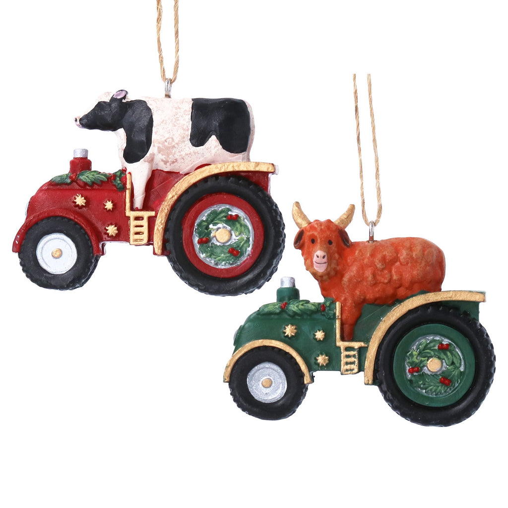Dairy/highland cow in tractor hanging dec