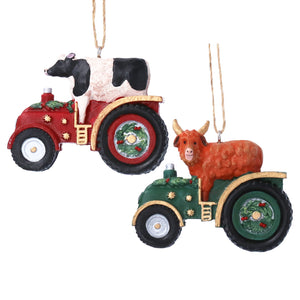 Dairy/highland cow in tractor hanging dec