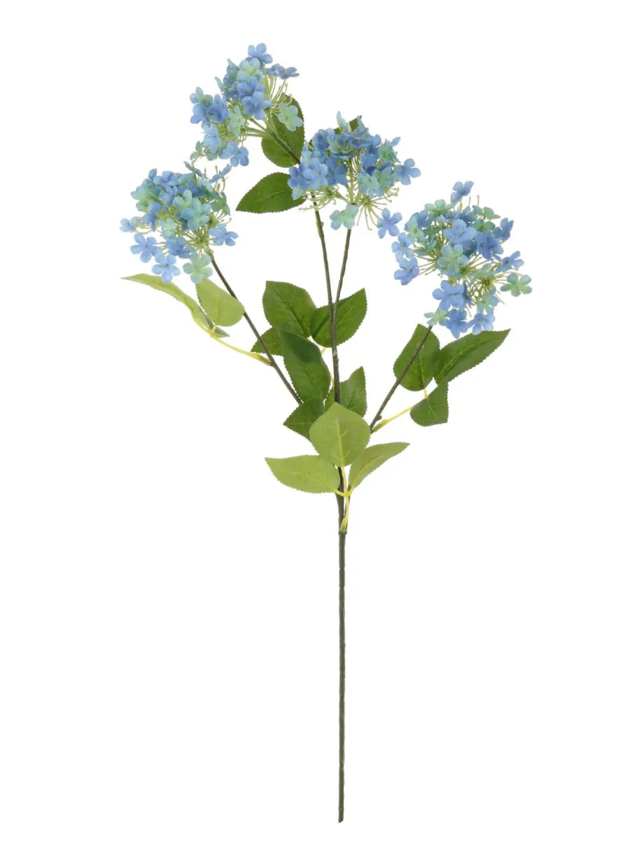 Charlotte spray (Blue)