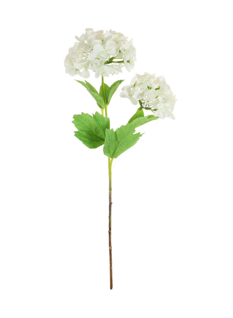 Lace cap hydrangea stem (Ivory)