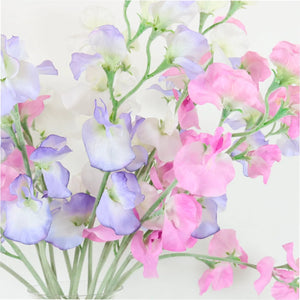 Sweet pea (lilac\white)