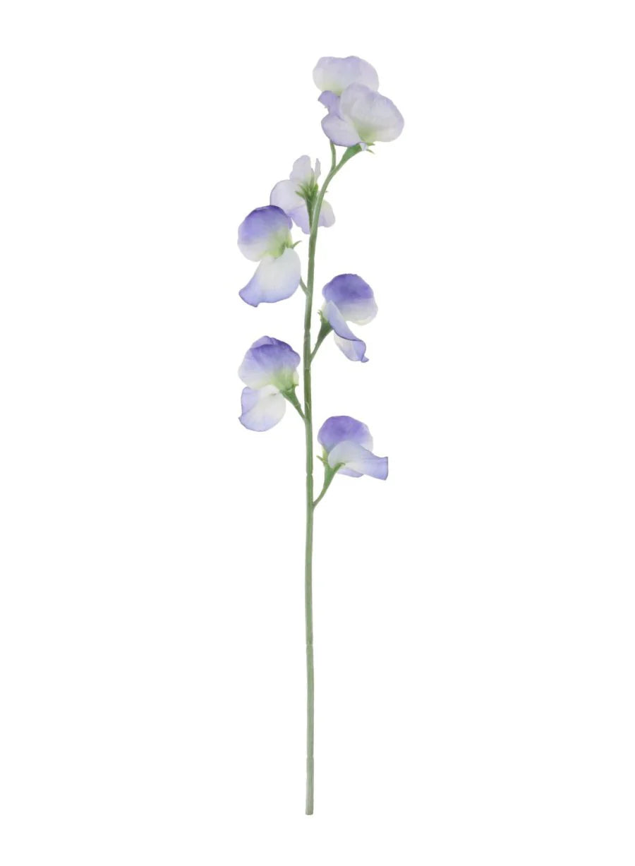 Sweet pea (lilac\white)