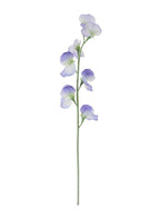 Sweet pea (lilac\white)