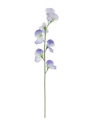 Sweet pea (lilac\white)