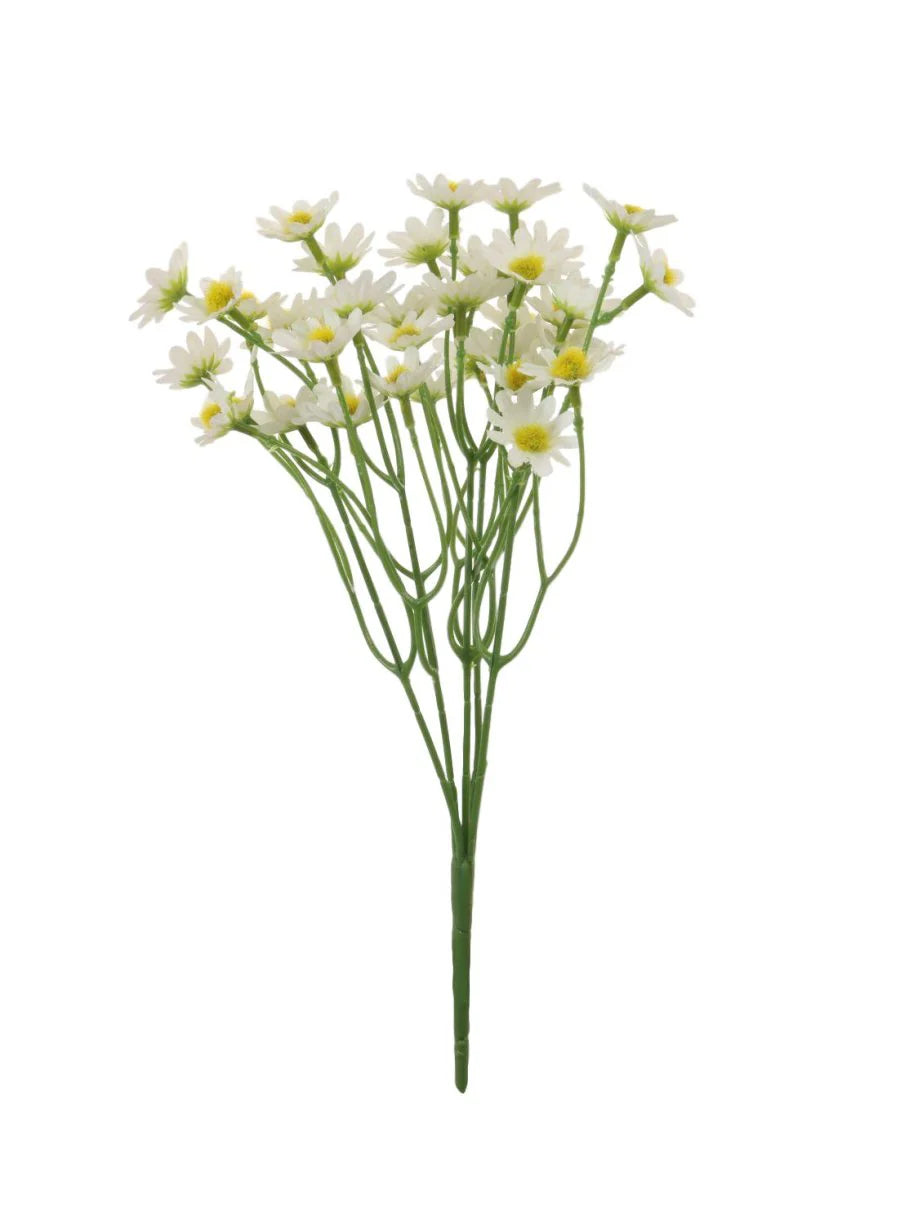 Summer daisy (White)