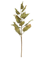Dried touch fall branch (Green)