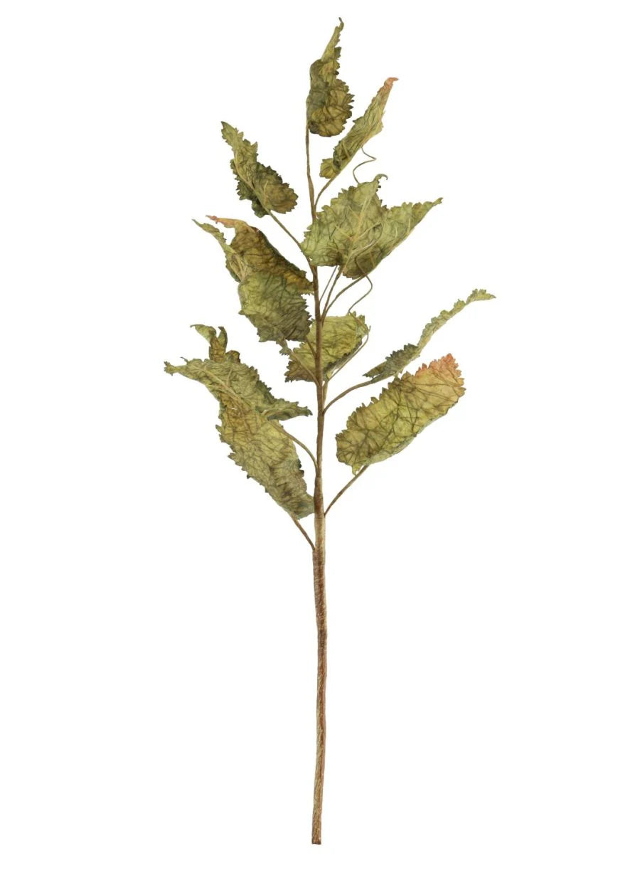 Dried touch fall branch (Green)