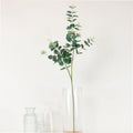 Eucalyptus spray (Dark green)