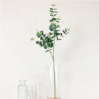 Eucalyptus spray (Dark green)