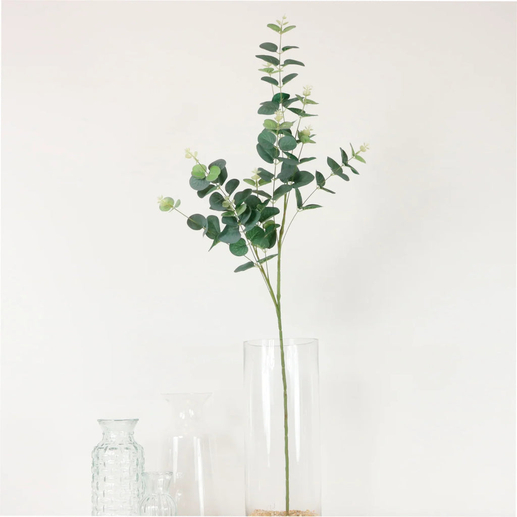 Eucalyptus spray (Dark green)