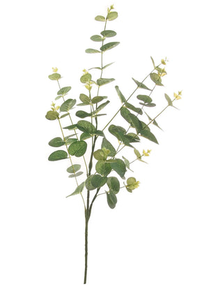 Eucalyptus spray (Dark green)