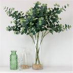 Eucalyptus spray (Dark green)