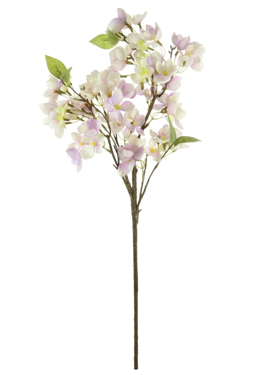 Lilac orchard blossom branch