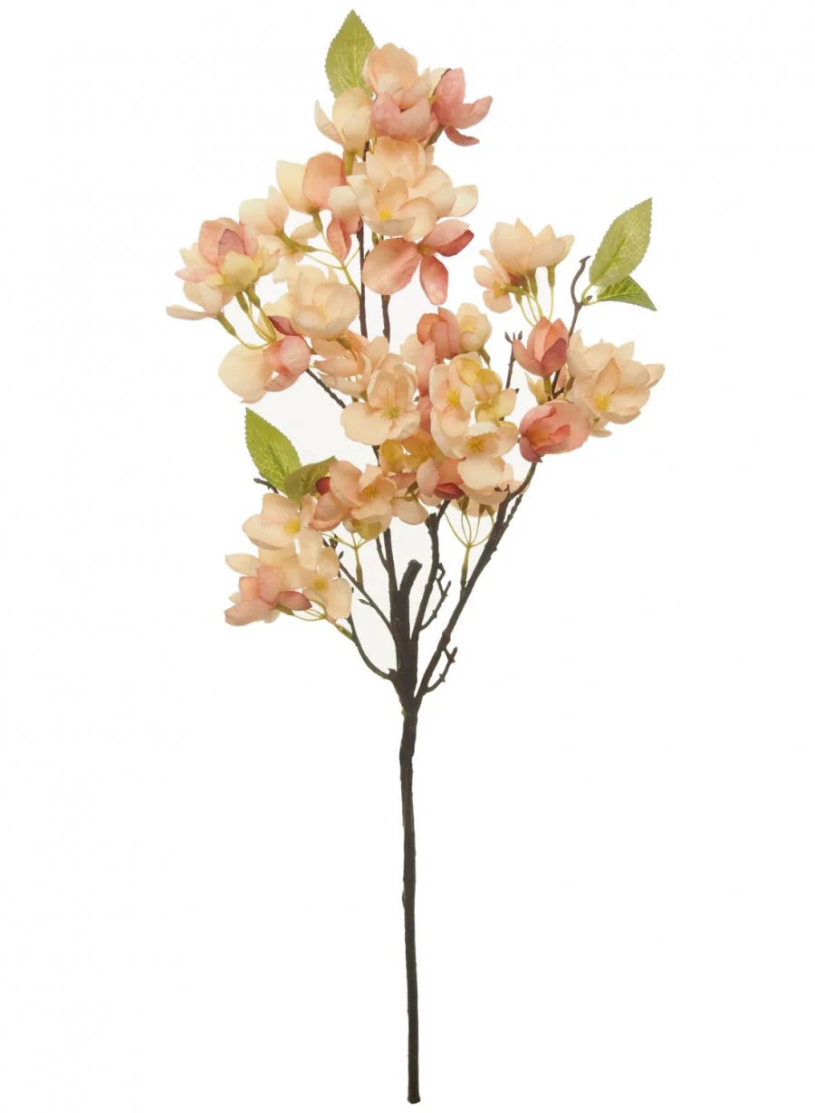 Coral blush orchard blossom branch