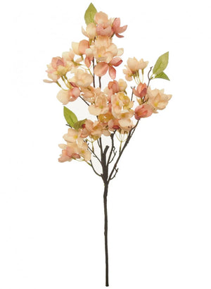 Coral blush orchard blossom branch